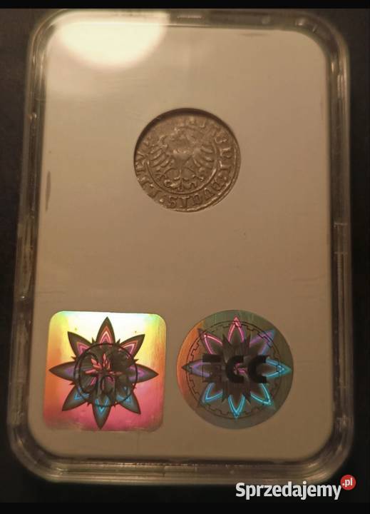 Moneta półgrosz Zygmunt I Stary 1509 VF35 lubelskie Puławy