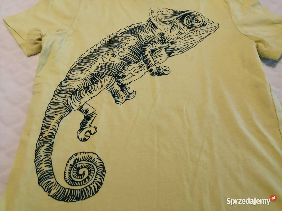 Koszulka krótki rękaw Tshirt żółta kameleon 104 Czeladź