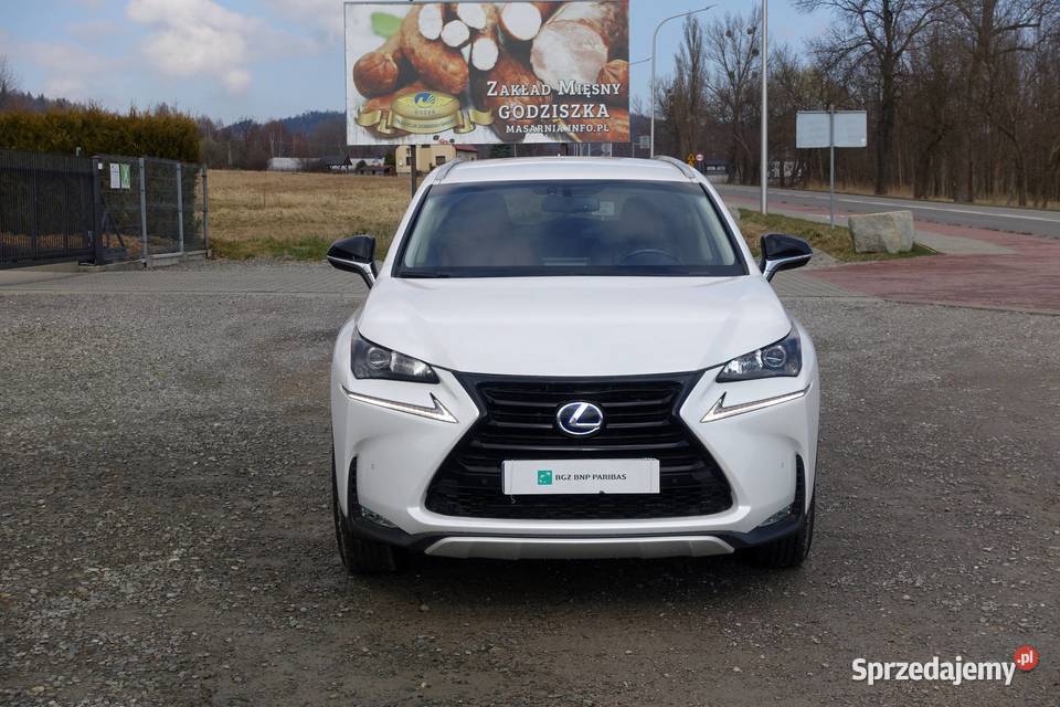 LEXUS NX 300H 197 4X4 SKÓRA AUTOMAT BIAŁA PERŁA komputer pokładowy Buczkowice