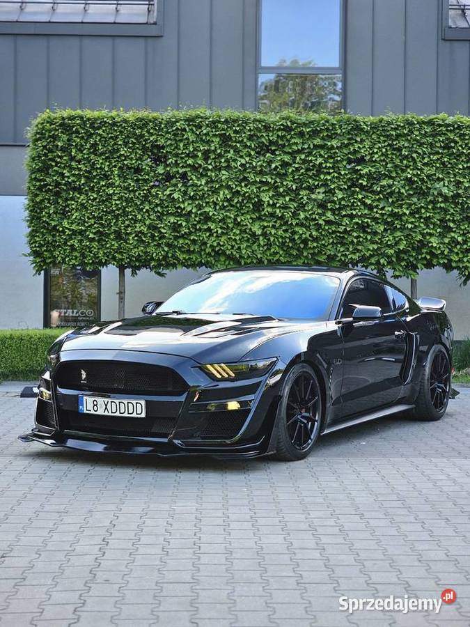 Ford Mustang VI 50 52l STROKER 560hp Zwoleń