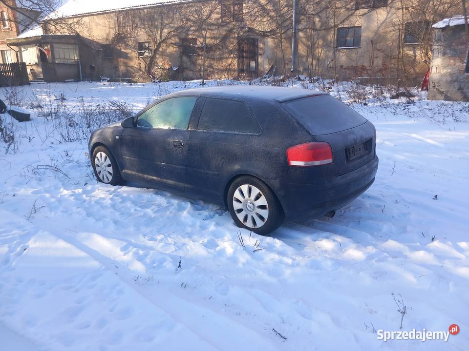 Audi A3 2007 16 i 102KM A3 Pniewy