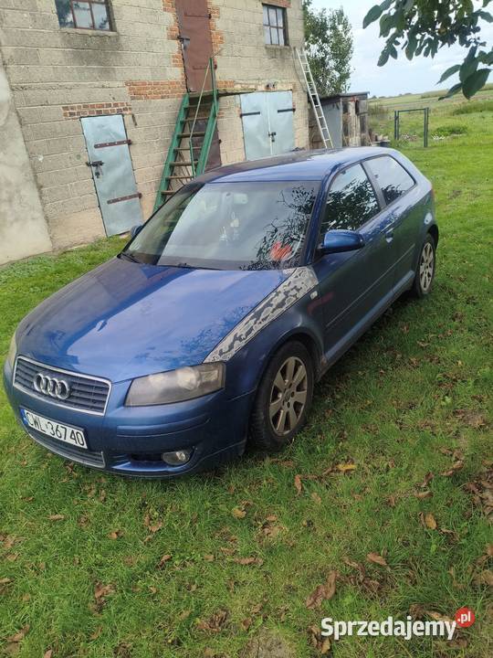 Audi A3 8p Rok produkcji 2003 Kutno