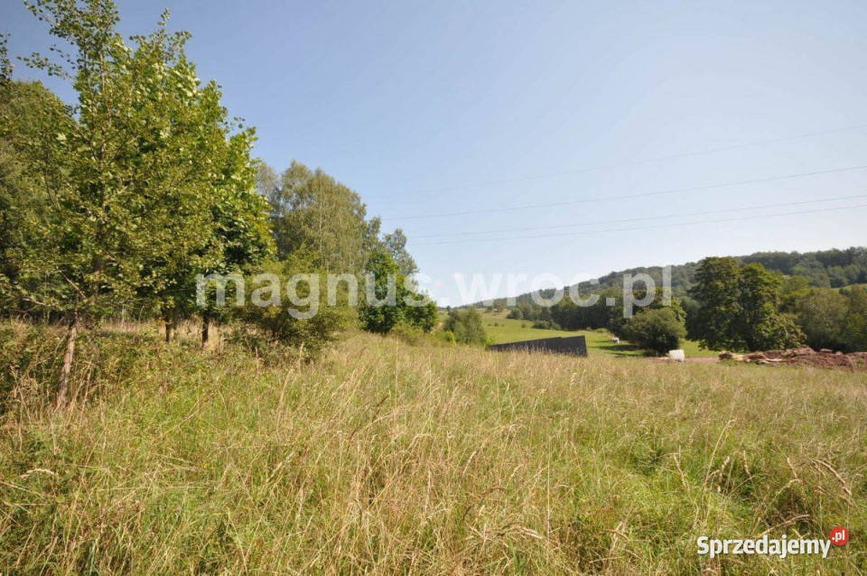 Widokowa działka budowlana na lekkim stoku dolnośląskie Głuszyca