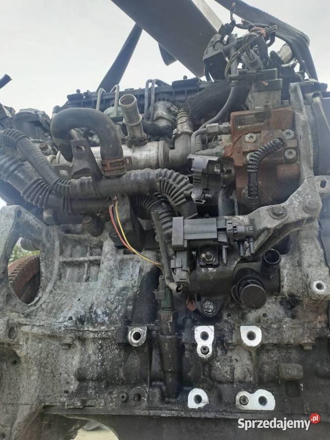 Citroen Peugot 16 HDi 109 silnik kompletny kod osobowe Silniki kompletne