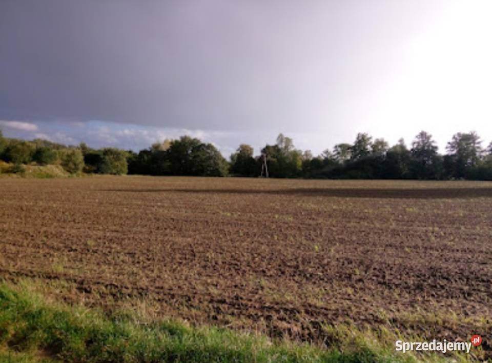 Grunty rolne pod uprawę WrocławWidawa Przepiękny dolnośląskie Wrocław