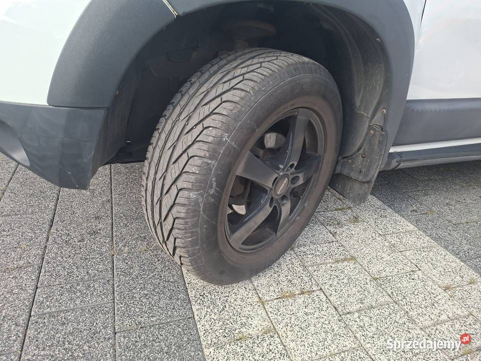 Super Stan Pierwszy Właściciel Cynków