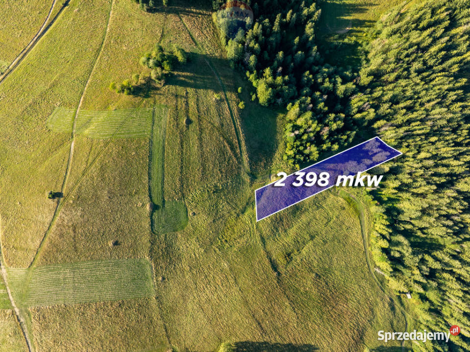 Działka rolno leśna Zakopane 38m