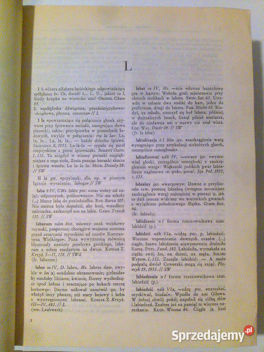 Słownik Języka Polskiego Tom IV LNić warmińsko-mazurskie Olsztyn