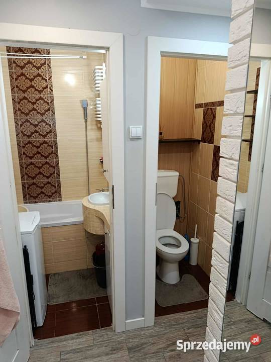 wynajmę mieszkanie 39 mkw na parterze Płock