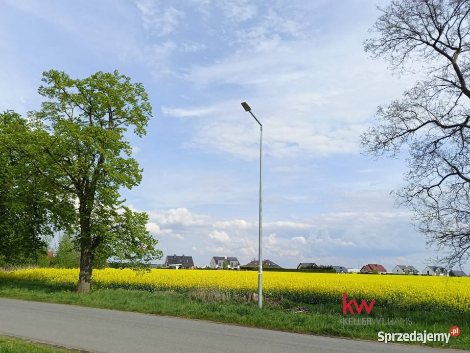 Działka Mrowino 959m2 wielkopolskie