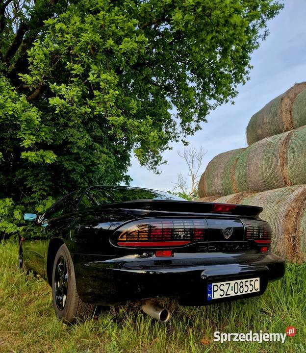 Pontiac Firebird Chevrolet Camaro Szamotuły sprzedam
