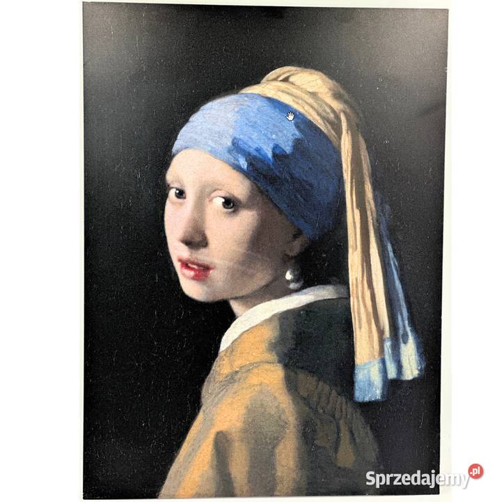 Obraz Dziewczyna Z Perłami 55 X 40 Alu Dibond Stalowa Wola sprzedam