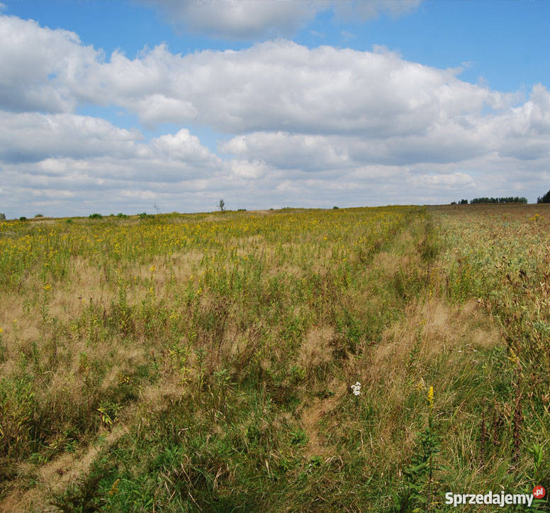 Kopalnia piasku w Baranowie S17 pow Puławski Baranów