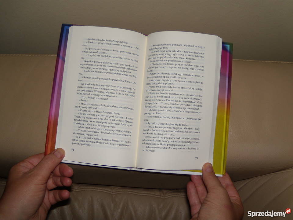 Książka Halo Wikta Katarzyna Pisarzewska Warszawa