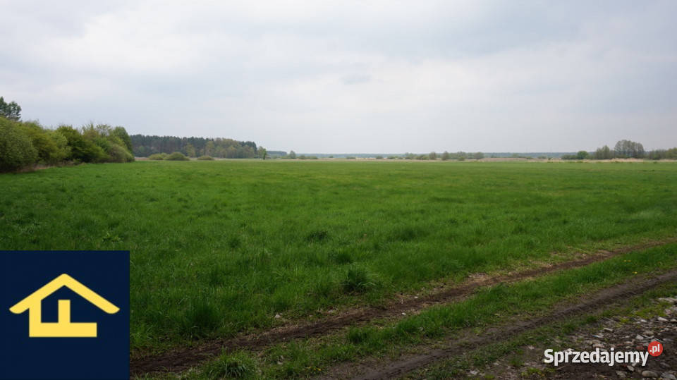 Nieruchomość w Całowaniu Całowanie