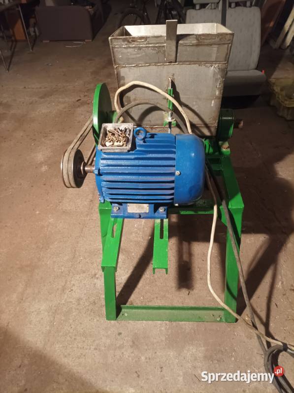 Kościarka wilk kruszarka Sławno