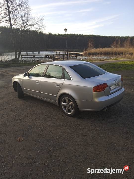 Audi a4 b7 Witnica