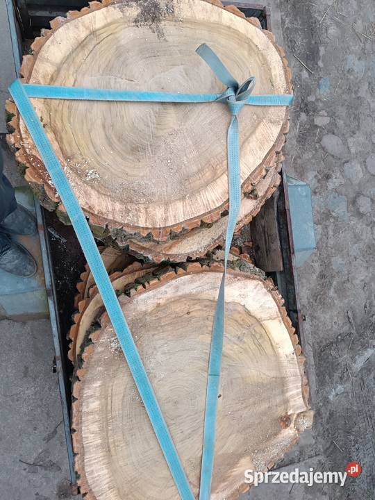 Topola kłoda drzewo drewno plastry Złotów