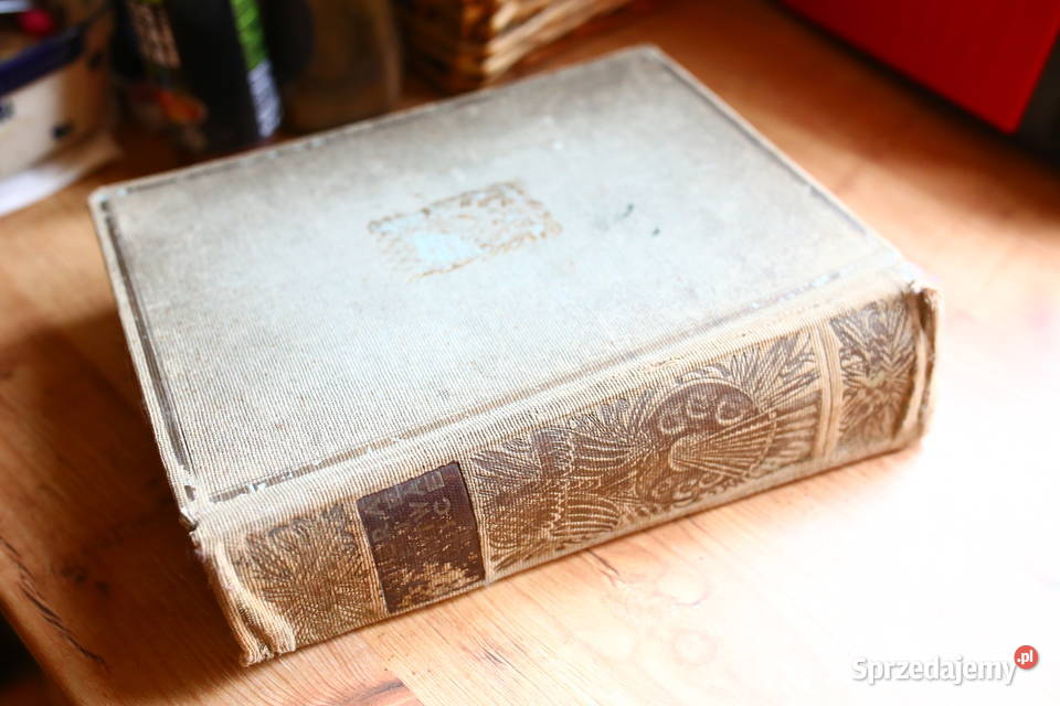 Malarstwo w Polsce XIX do XX wieku Feliks Kopera