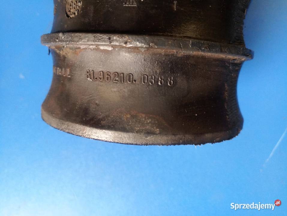 81962100388 MAN F2000 Poduszka łapa skrzyni Rzędowice