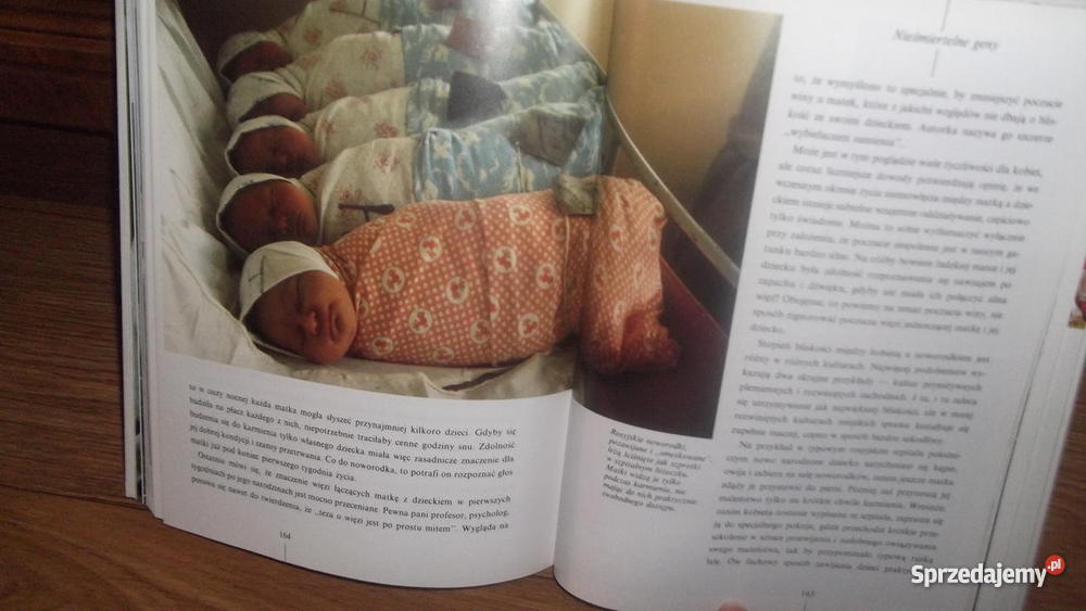 Zwierzę zwane człowiekiem Morris świętokrzyskie Sędziszów