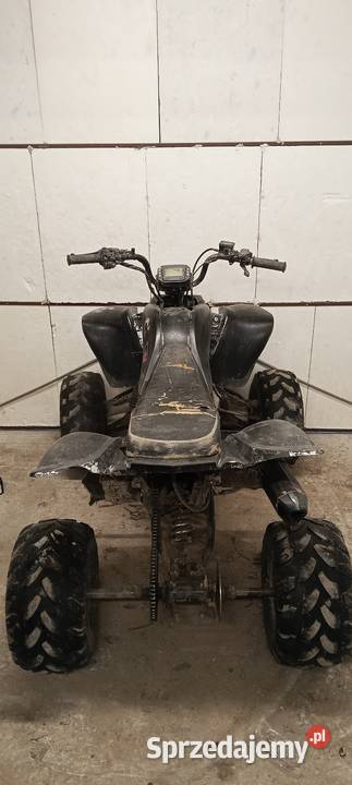 Quad Bashan 250 duża rama Rok produkcji 2008 lubelskie Zamość sprzedam