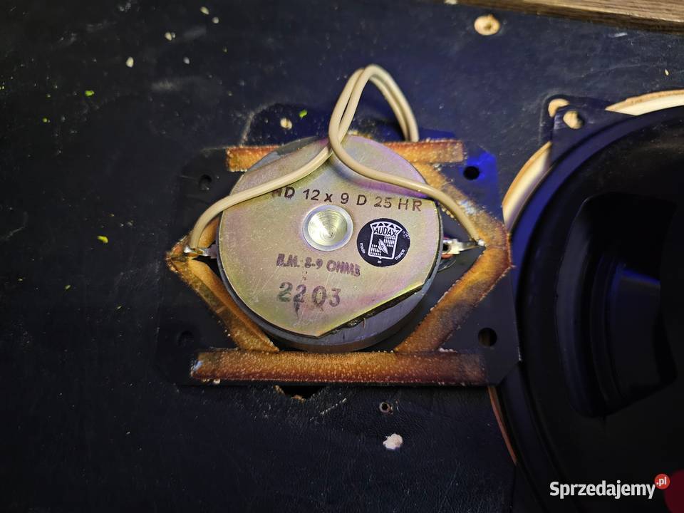 Kolumny Falcon Tabor AUDAX Gorzów Wielkopolski