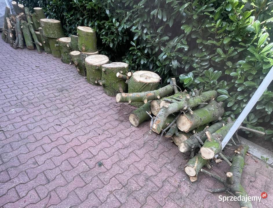 Drewno opałowe tanio dużo świerk Ostrzeszów