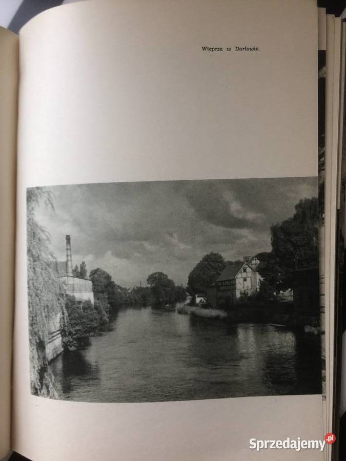 3592 Pomorze Zachodnie Antyki, Sztuka, Kolekcje Szczecin