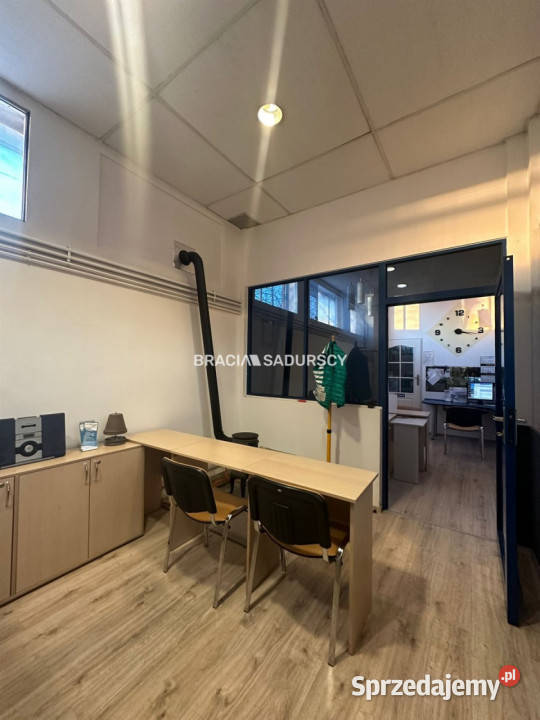 Lokal Kraków Rybitwy 390m2 dojazd asfaltowy małopolskie