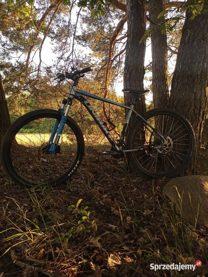 Rower unibike fusion 29 rozmiar ML górski cross Nowy Jamielnik