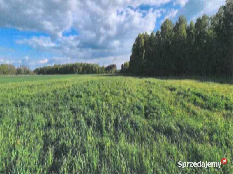 Sprzedaż nieruchomości Brzozówka 276 ha mazowieckie