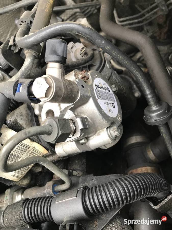 Pompa wysokiego ciśnienia 22 direct osobowe kujawsko-pomorskie