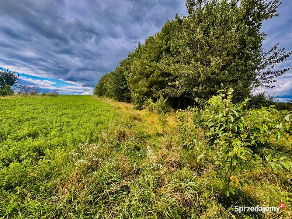 Drygały piękna działka 14 ha w otoczeniu lasów i
