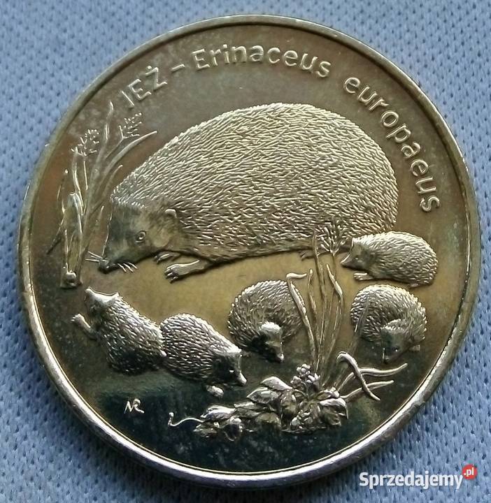 POLSKA2 1996 r GNJEŻ ŁADNA mazowieckie Legionowo
