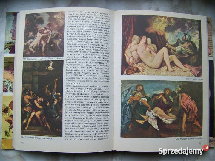 książka Giotta do Cezanne a Michael Levey zachodniopomorskie Kołobrzeg sprzedam