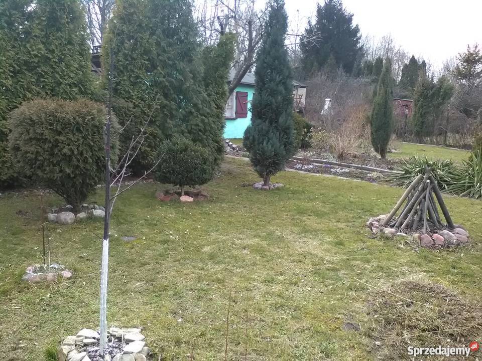 Sprzedam Ogródek działkowy Bytom Łagiewniki Rod sprzedam