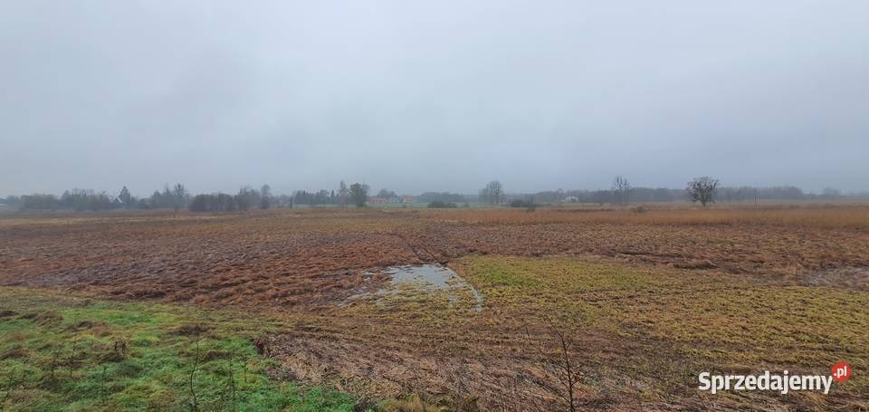 Łąka 092 ha Sprzedaż Krzak