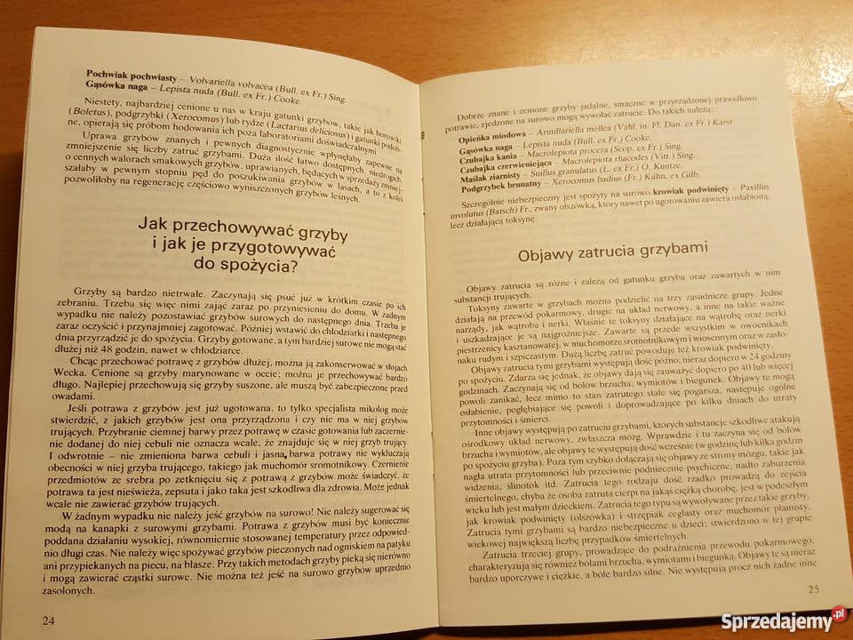 PORADNIK Grzyb jadalny Zbigniew Domański Rok wydania 1982 sprzedam