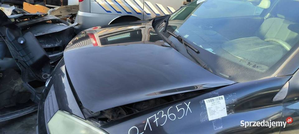 MASKA RENAULT MEGANE II NV676 kujawsko-pomorskie Lipno