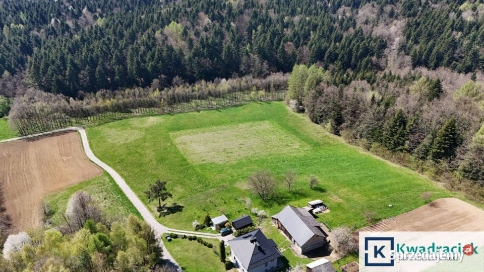 Działka 12569m2 Niepla podkarpackie sprzedam