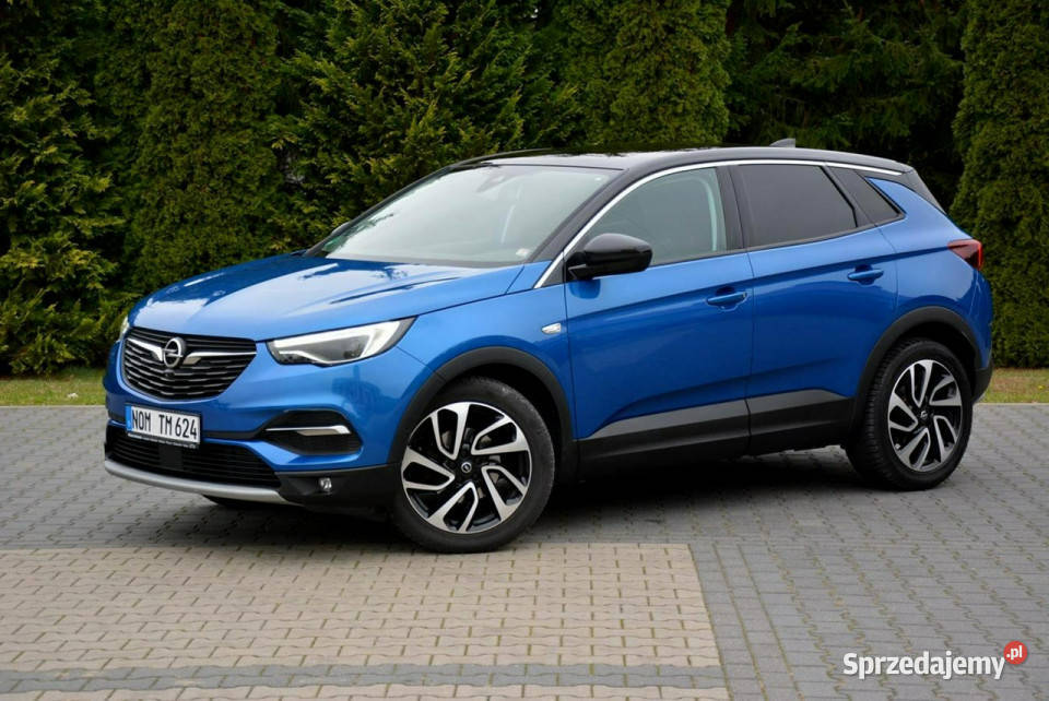 Opel Grandland X Panorama Denon Full Led Skóry światła przeciwmgielne Ostrów Mazowiecka