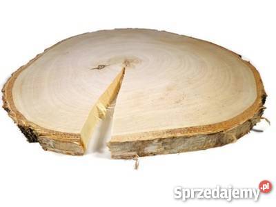Okazja plastry drewna brzoza 1824 Szlifowane Rybnik