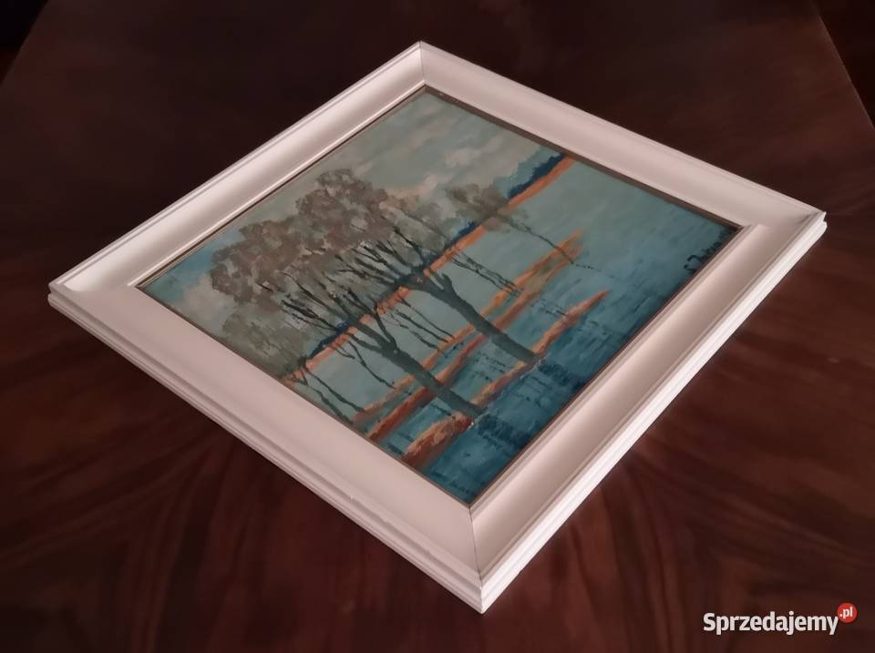 Rolewisko olej na twardym podłożu Stanisław śląskie Katowice