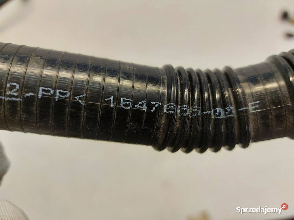 TESLA MODEL Y 2024r RURA WĄŻ PRZEWÓD WODY dolnośląskie