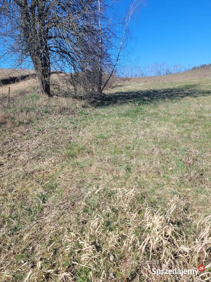 Działka budowlana LubiewoMikołajki Olsztyn