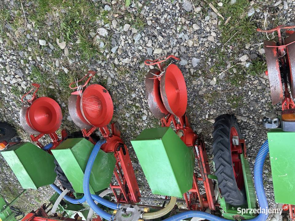 Siewnik do kukurydzy Hassia 4 rzędowa małopolskie Nowy Sącz