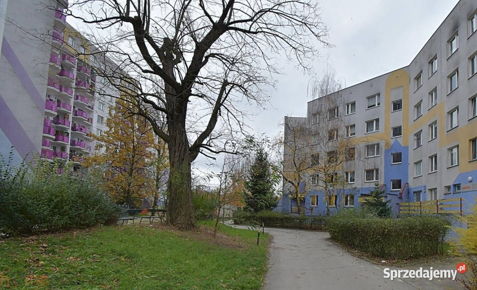 Mieszkanie 49m2 2 pokoje Wrocław Gołężycka