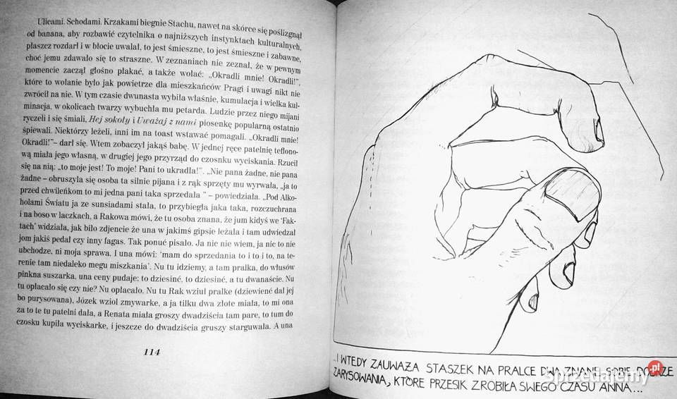 Paw królowej Dorota Masłowska Chełm sprzedam