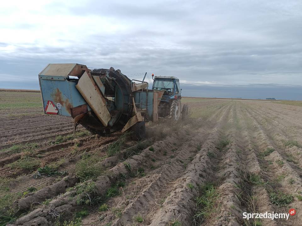 Kombajn do zbierania ziemniaków anna Barnim